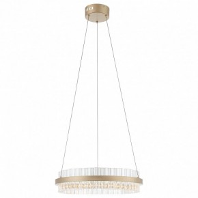 Подвесной светильник ST-Luce Cherio SL383.203.01 в Кудымкаре - kudymkar.ok-mebel.com | фото 3