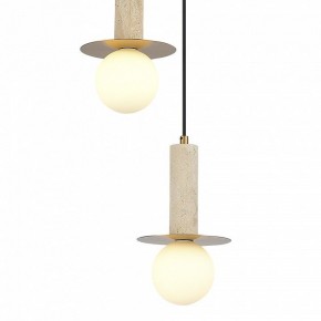 Подвесной светильник ST-Luce Earthy SL1194.303.03 в Кудымкаре - kudymkar.ok-mebel.com | фото 4