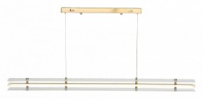 Подвесной светильник ST-Luce FAGY SL6245.223.01 в Кудымкаре - kudymkar.ok-mebel.com | фото 2