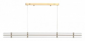 Подвесной светильник ST-Luce FAGY SL6245.223.01 в Кудымкаре - kudymkar.ok-mebel.com | фото 3