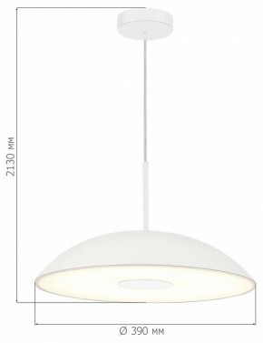Подвесной светильник ST-Luce Lido SL6128.503.01 в Кудымкаре - kudymkar.ok-mebel.com | фото 4