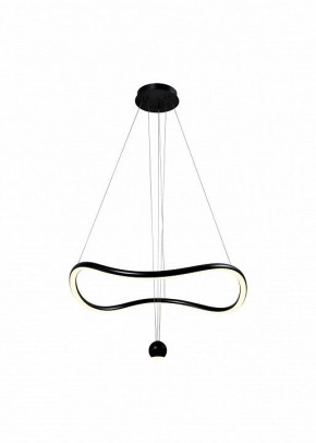 Подвесной светильник ST-Luce Orione SL6209.403.40 в Кудымкаре - kudymkar.ok-mebel.com | фото 2