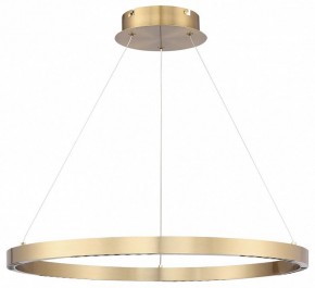 Подвесной светильник ST-Luce PARILLA SL6238.333.01 в Кудымкаре - kudymkar.ok-mebel.com | фото 3
