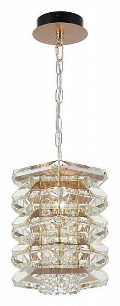 Подвесной светильник ST-Luce STROZZI SL6137.203.01 в Кудымкаре - kudymkar.ok-mebel.com | фото 4
