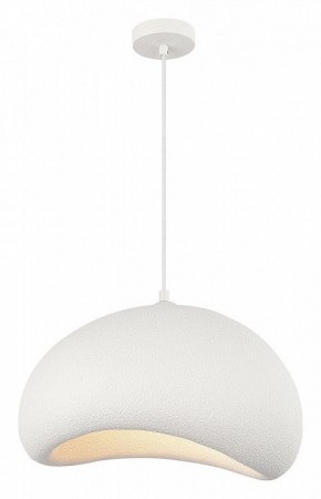 Подвесной светильник ST-Luce WABI SABI SL1522.523.01 в Кудымкаре - kudymkar.ok-mebel.com | фото 5