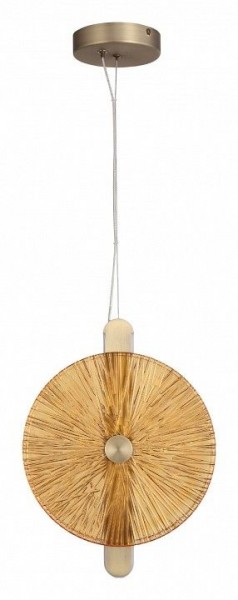 Подвесной светильник ST-Luce WASI SL6141.313.01 в Кудымкаре - kudymkar.ok-mebel.com | фото 3