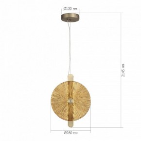 Подвесной светильник ST-Luce WASI SL6141.313.01 в Кудымкаре - kudymkar.ok-mebel.com | фото 5