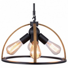 Подвесной светильник TopLight Jasmin TL1179H-04BK в Кудымкаре - kudymkar.ok-mebel.com | фото