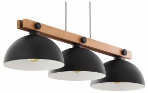 Подвесной светильник TopLight Marion TL1625H-03BK в Кудымкаре - kudymkar.ok-mebel.com | фото