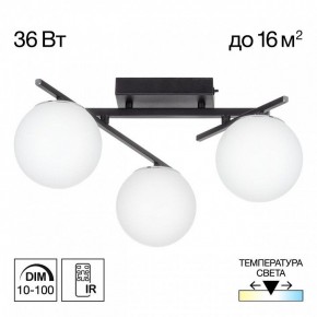 Потолочная люстра Citilux Dorsy CL223132 в Кудымкаре - kudymkar.ok-mebel.com | фото 10