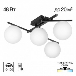 Потолочная люстра Citilux Dorsy CL223142 в Кудымкаре - kudymkar.ok-mebel.com | фото 9