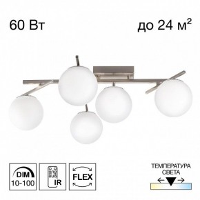 Потолочная люстра Citilux Dorsy CL223151 в Кудымкаре - kudymkar.ok-mebel.com | фото 2