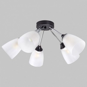 Потолочная люстра Imex MD.2167 MD.2167-5-S-BK+CH в Кудымкаре - kudymkar.ok-mebel.com | фото