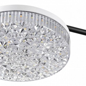 Потолочная люстра Lumion Didana 8236/4CL в Кудымкаре - kudymkar.ok-mebel.com | фото 10