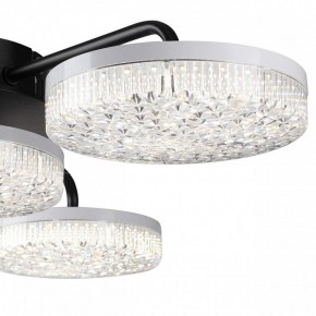 Потолочная люстра Lumion Didana 8236/4CL в Кудымкаре - kudymkar.ok-mebel.com | фото 7