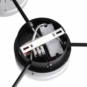 Потолочная люстра Lumion Didana 8236/4CL в Кудымкаре - kudymkar.ok-mebel.com | фото 9