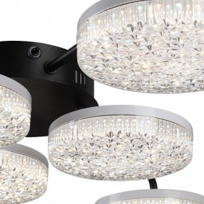 Потолочная люстра Lumion Didana 8236/6CL в Кудымкаре - kudymkar.ok-mebel.com | фото 9