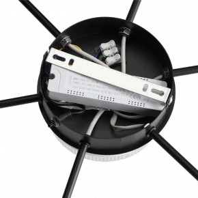 Потолочная люстра Lumion Didana 8236/7CL в Кудымкаре - kudymkar.ok-mebel.com | фото 8