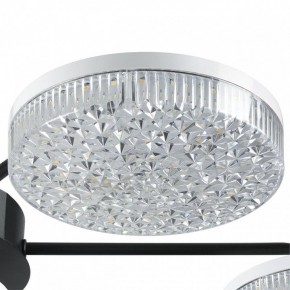 Потолочная люстра Lumion Didana 8236/7CL в Кудымкаре - kudymkar.ok-mebel.com | фото 9