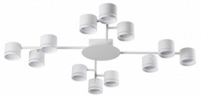 Потолочная люстра Lumion Gareta 8235/12C в Кудымкаре - kudymkar.ok-mebel.com | фото
