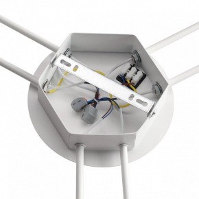 Потолочная люстра Lumion Gareta 8235/6C в Кудымкаре - kudymkar.ok-mebel.com | фото 6