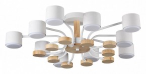 Потолочная люстра Lumion Rondo 8196/10C в Кудымкаре - kudymkar.ok-mebel.com | фото