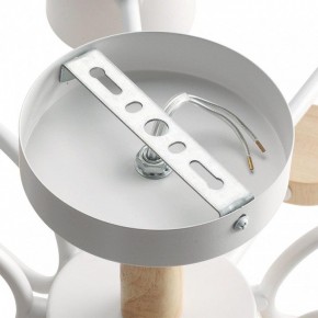 Потолочная люстра Lumion Rondo 8196/10C в Кудымкаре - kudymkar.ok-mebel.com | фото 6