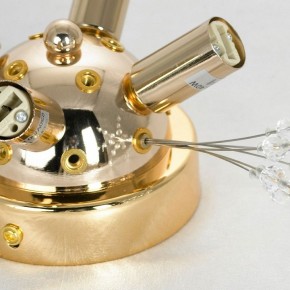 Потолочная люстра Lussole Davie LSP-8781 в Кудымкаре - kudymkar.ok-mebel.com | фото 4