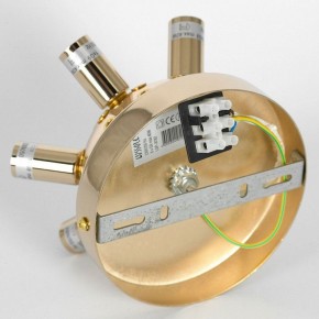 Потолочная люстра Lussole Davie LSP-8782 в Кудымкаре - kudymkar.ok-mebel.com | фото 4