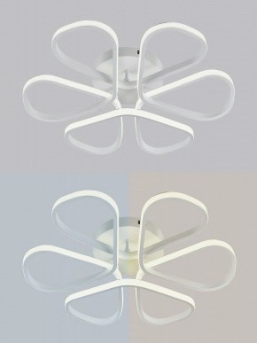 Потолочная люстра Natali Kovaltseva COBRA LED LAMPS 81121/7C в Кудымкаре - kudymkar.ok-mebel.com | фото 6