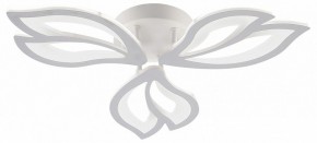 Потолочная люстра Natali Kovaltseva FORTUNA LED LAMPS 81107/2C в Кудымкаре - kudymkar.ok-mebel.com | фото