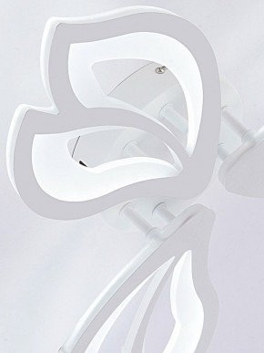 Потолочная люстра Natali Kovaltseva FORTUNA LED LAMPS 81107/2C в Кудымкаре - kudymkar.ok-mebel.com | фото 10