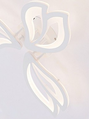 Потолочная люстра Natali Kovaltseva FORTUNA LED LAMPS 81107/2C в Кудымкаре - kudymkar.ok-mebel.com | фото 11