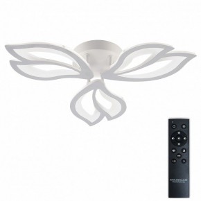 Потолочная люстра Natali Kovaltseva FORTUNA LED LAMPS 81107/2C в Кудымкаре - kudymkar.ok-mebel.com | фото 2