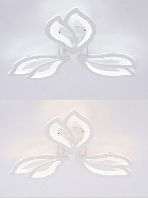Потолочная люстра Natali Kovaltseva FORTUNA LED LAMPS 81107/2C в Кудымкаре - kudymkar.ok-mebel.com | фото 4