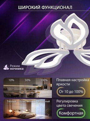 Потолочная люстра Natali Kovaltseva FORTUNA LED LAMPS 81107/2C в Кудымкаре - kudymkar.ok-mebel.com | фото 5