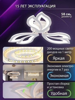 Потолочная люстра Natali Kovaltseva FORTUNA LED LAMPS 81107/2C в Кудымкаре - kudymkar.ok-mebel.com | фото 6