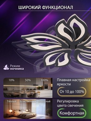 Потолочная люстра Natali Kovaltseva FORTUNA LED LAMPS 81107/5C в Кудымкаре - kudymkar.ok-mebel.com | фото 6