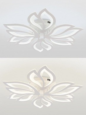 Потолочная люстра Natali Kovaltseva FORTUNA LED LAMPS 81107/6C в Кудымкаре - kudymkar.ok-mebel.com | фото 4