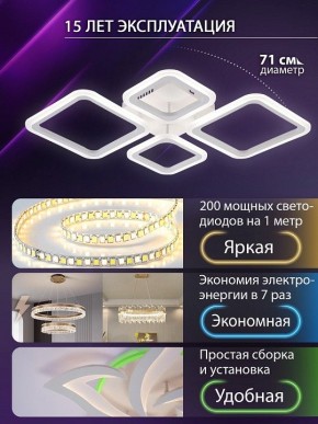 Потолочная люстра Natali Kovaltseva OPTI LED LAMPS 81108/1C в Кудымкаре - kudymkar.ok-mebel.com | фото 5