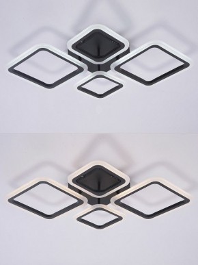 Потолочная люстра Natali Kovaltseva OPTI LED LAMPS 81108/2C в Кудымкаре - kudymkar.ok-mebel.com | фото 4