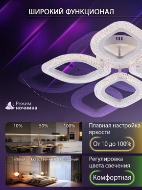 Потолочная люстра Natali Kovaltseva SM LED LAMPS 81455 в Кудымкаре - kudymkar.ok-mebel.com | фото 6