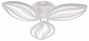 Потолочная люстра Natali Kovaltseva SM LED LAMPS 81456 в Кудымкаре - kudymkar.ok-mebel.com | фото