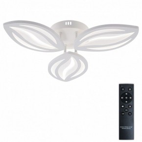 Потолочная люстра Natali Kovaltseva SM LED LAMPS 81456 в Кудымкаре - kudymkar.ok-mebel.com | фото 2