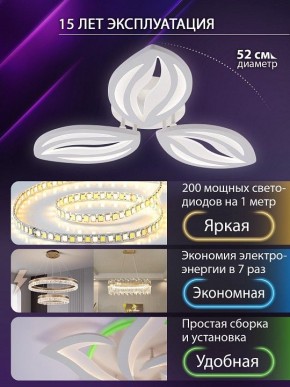 Потолочная люстра Natali Kovaltseva SM LED LAMPS 81456 в Кудымкаре - kudymkar.ok-mebel.com | фото 5