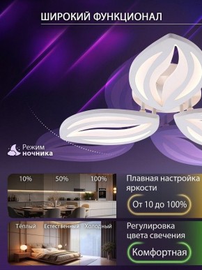 Потолочная люстра Natali Kovaltseva SM LED LAMPS 81456 в Кудымкаре - kudymkar.ok-mebel.com | фото 6