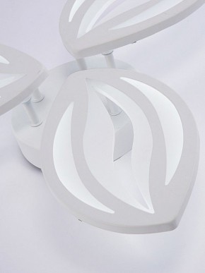 Потолочная люстра Natali Kovaltseva SM LED LAMPS 81456 в Кудымкаре - kudymkar.ok-mebel.com | фото 8