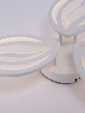 Потолочная люстра Natali Kovaltseva SM LED LAMPS 81456 в Кудымкаре - kudymkar.ok-mebel.com | фото 9