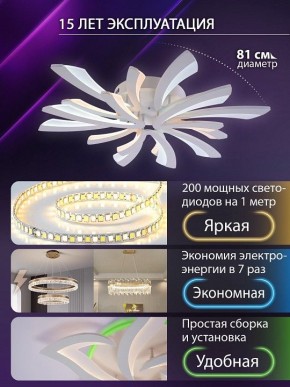 Потолочная люстра Natali Kovaltseva VIO LED LAMPS 81454 в Кудымкаре - kudymkar.ok-mebel.com | фото 5