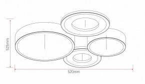 Потолочная люстра Rivoli Aliona Б0066451 в Кудымкаре - kudymkar.ok-mebel.com | фото 11